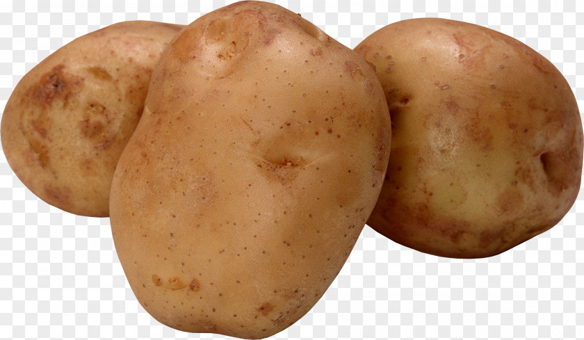 Potato Images Clip Art PNG