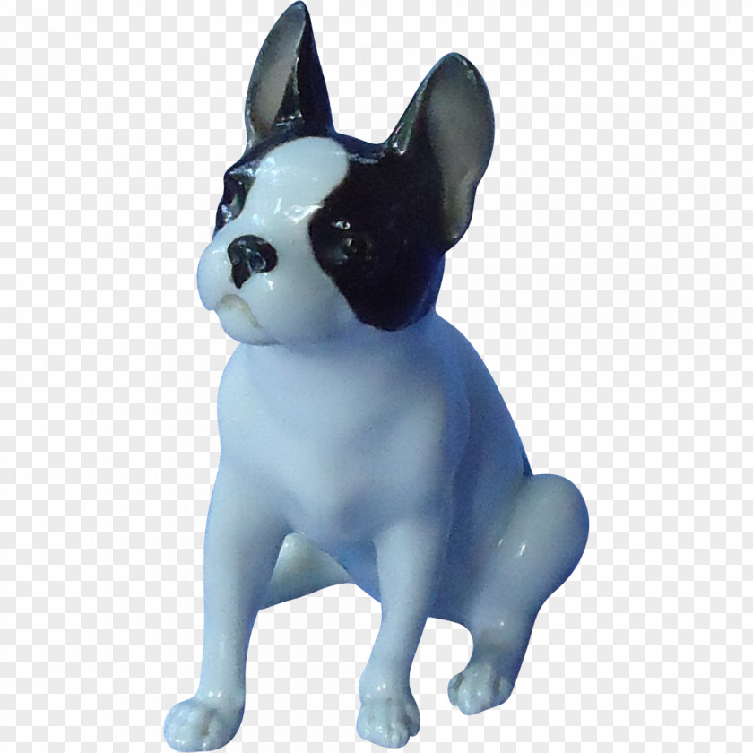 Puppy Boston Terrier French Bulldog Dog Breed Companion PNG