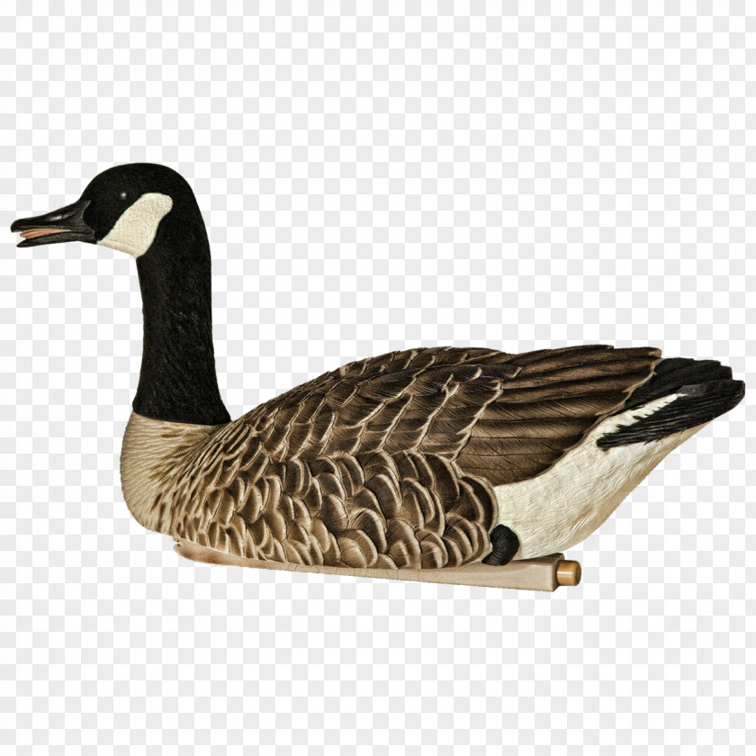 Goose Canada Mallard Decoy PNG