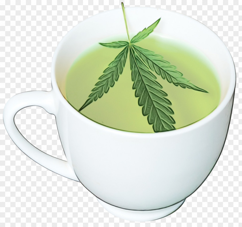 Tableware Drinkware Leaf Green Tea PNG