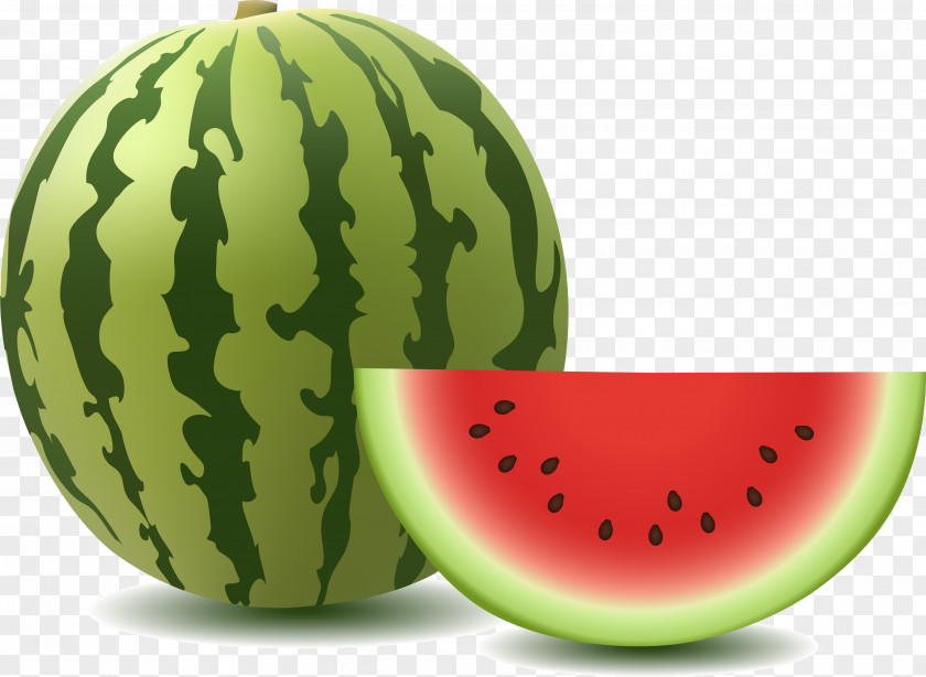 Watermelon Vector Graphics Image Clip Art Illustration PNG