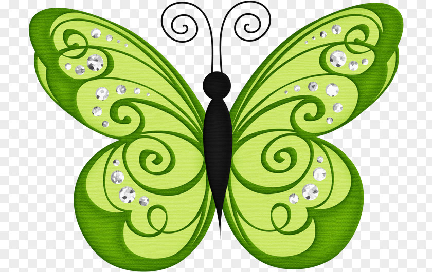 Butterfly Clip Art PNG