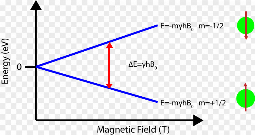 Circuit Board Layer Zeeman Effect Nuclear Magnetic Resonance Spectroscopy Energy Level Fission PNG