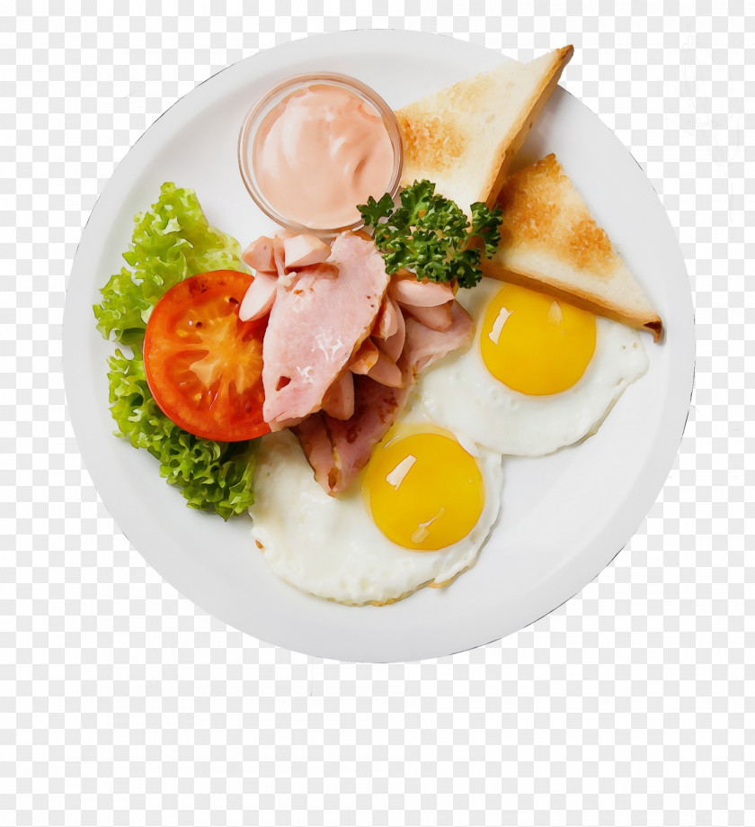 Egg Meal PNG