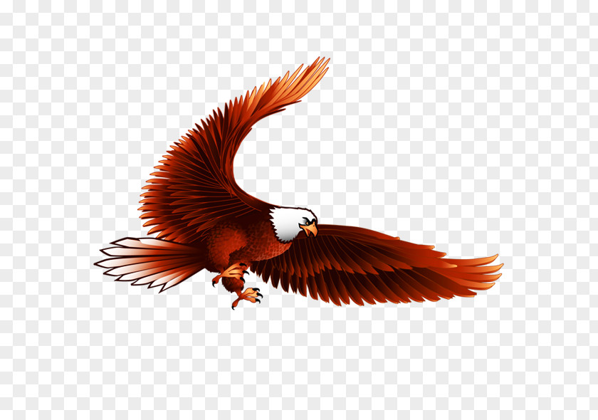 Hand-painted Eagle Cartoon Clip Art PNG