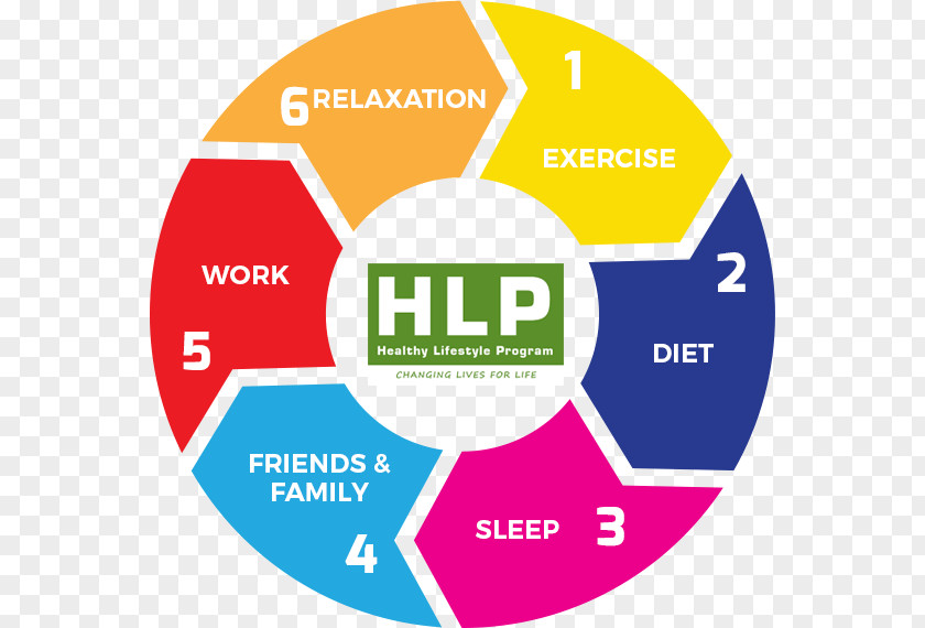 Health Healthy Lifestyles Program Logo PNG
