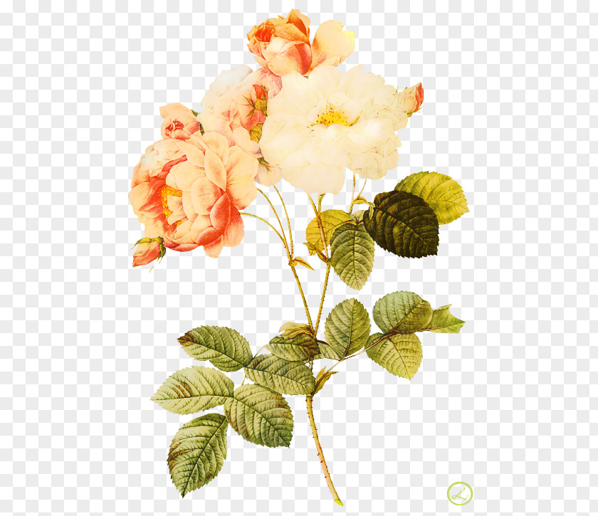 Painting Work Of Art Rose PNG