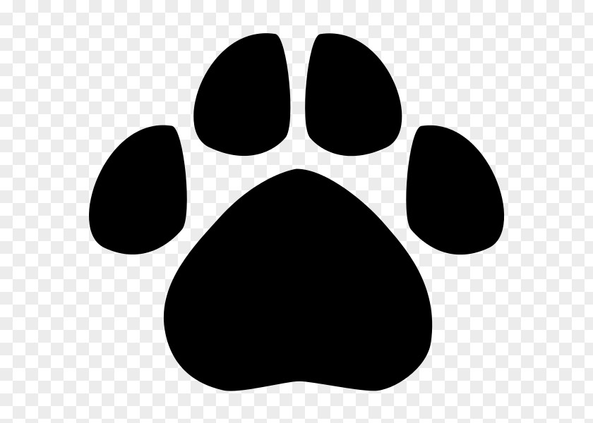 Animal Footprints Dog American Black Bear Jaguar Cat PNG