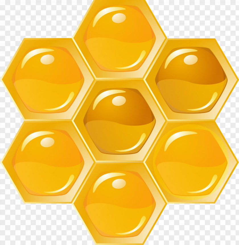 Bee Western Honey Honeycomb Beehive PNG