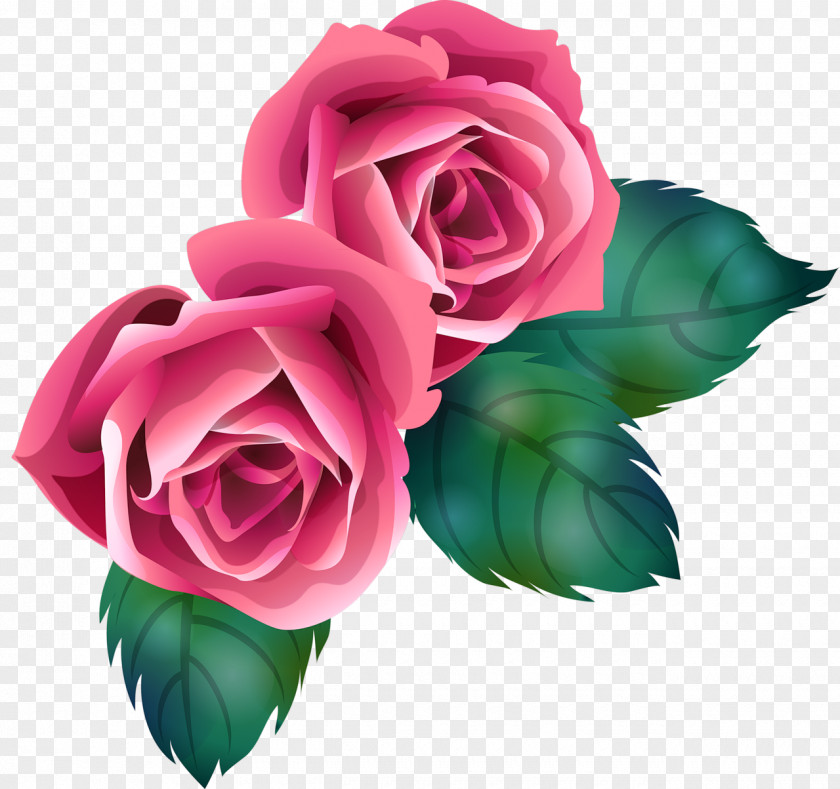 Flower Garden Roses Cut Flowers Clip Art PNG