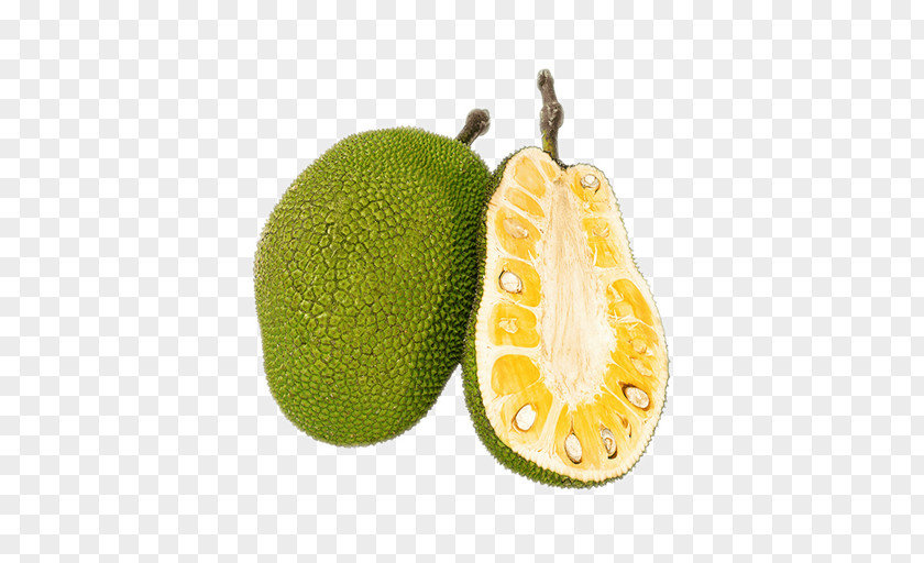 Fruit Industry Jackfruit Tropical Storm Khanun Central Ohio Farmers Co-Op Sueng PNG