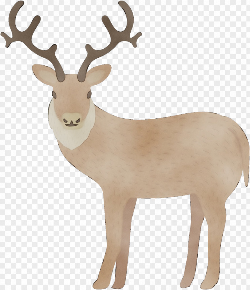 Fur Fawn Reindeer PNG