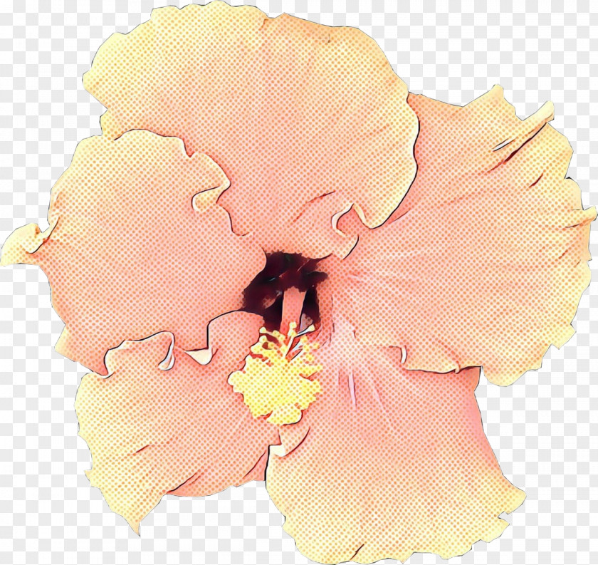 Rosemallows Cut Flowers Moth Orchids Petal PNG