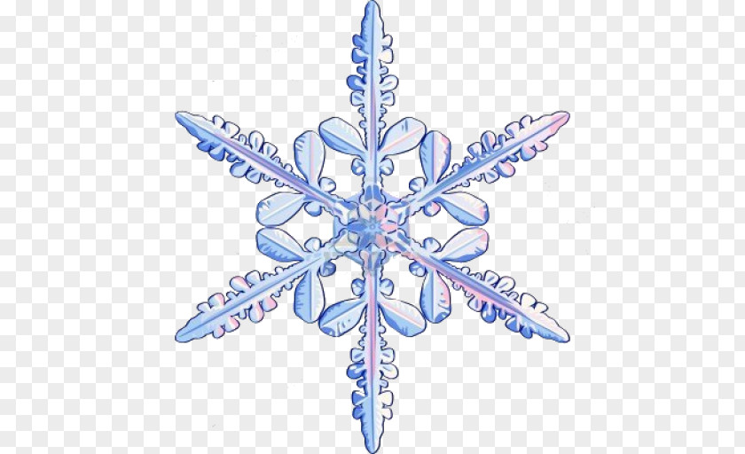 Snowflake Vector Graphics Clip Art Image Illustration PNG