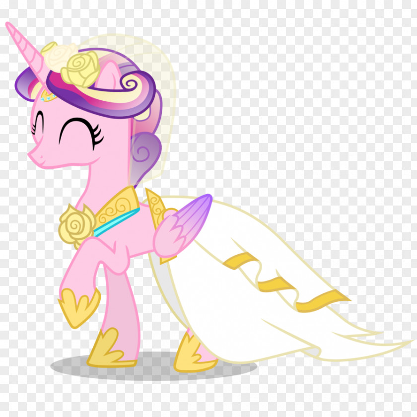 The Little Prince Princess Cadance Pony Twilight Sparkle Rainbow Dash Wedding PNG