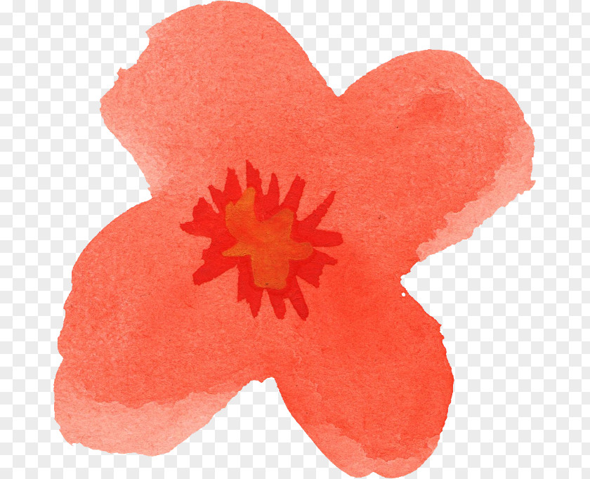 Watercolour Flower Poppy Petal PNG