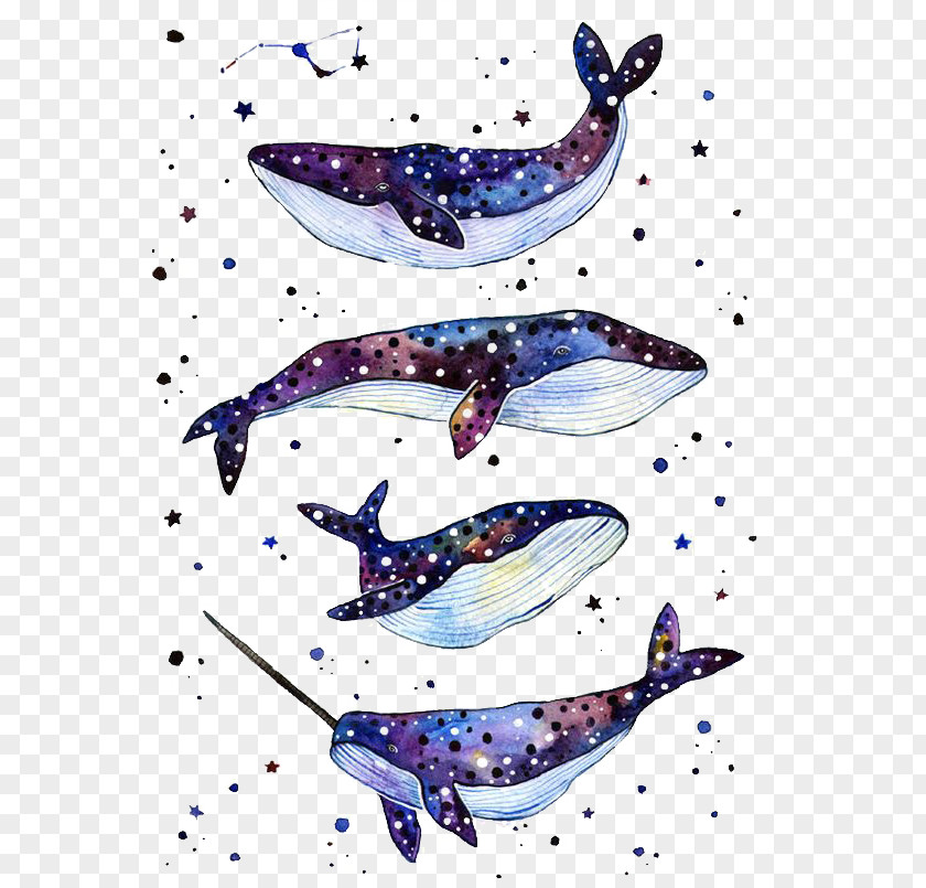 Blue Whale Shark Paper Tattoo PNG