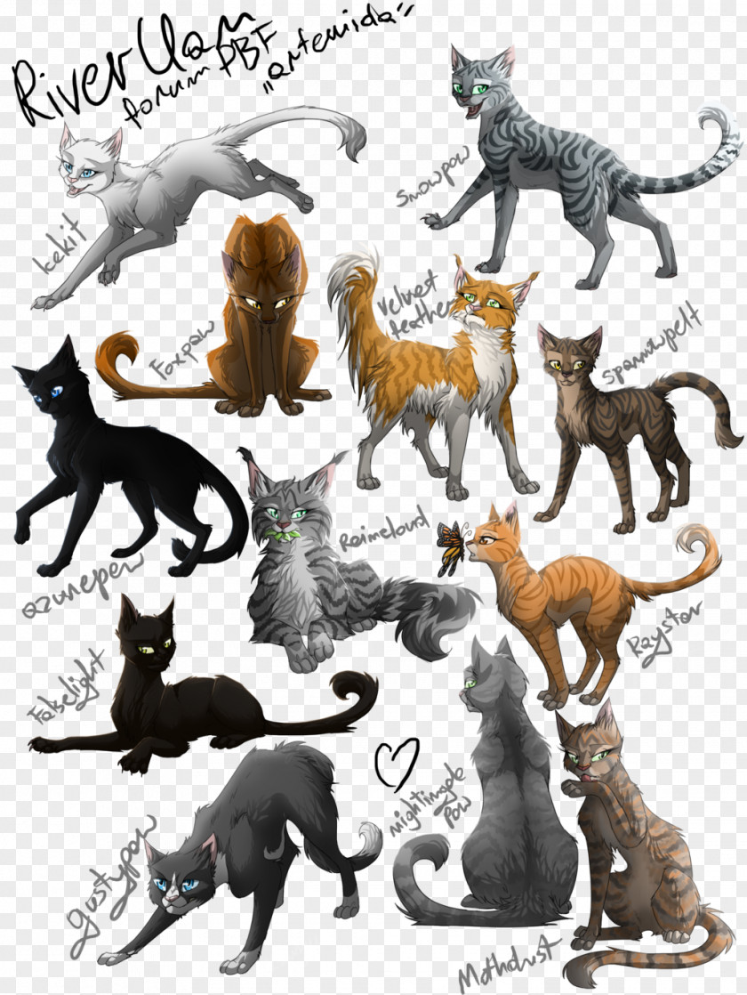 Cat Ashheart Mothwing Spottedleaf Jayfeather PNG