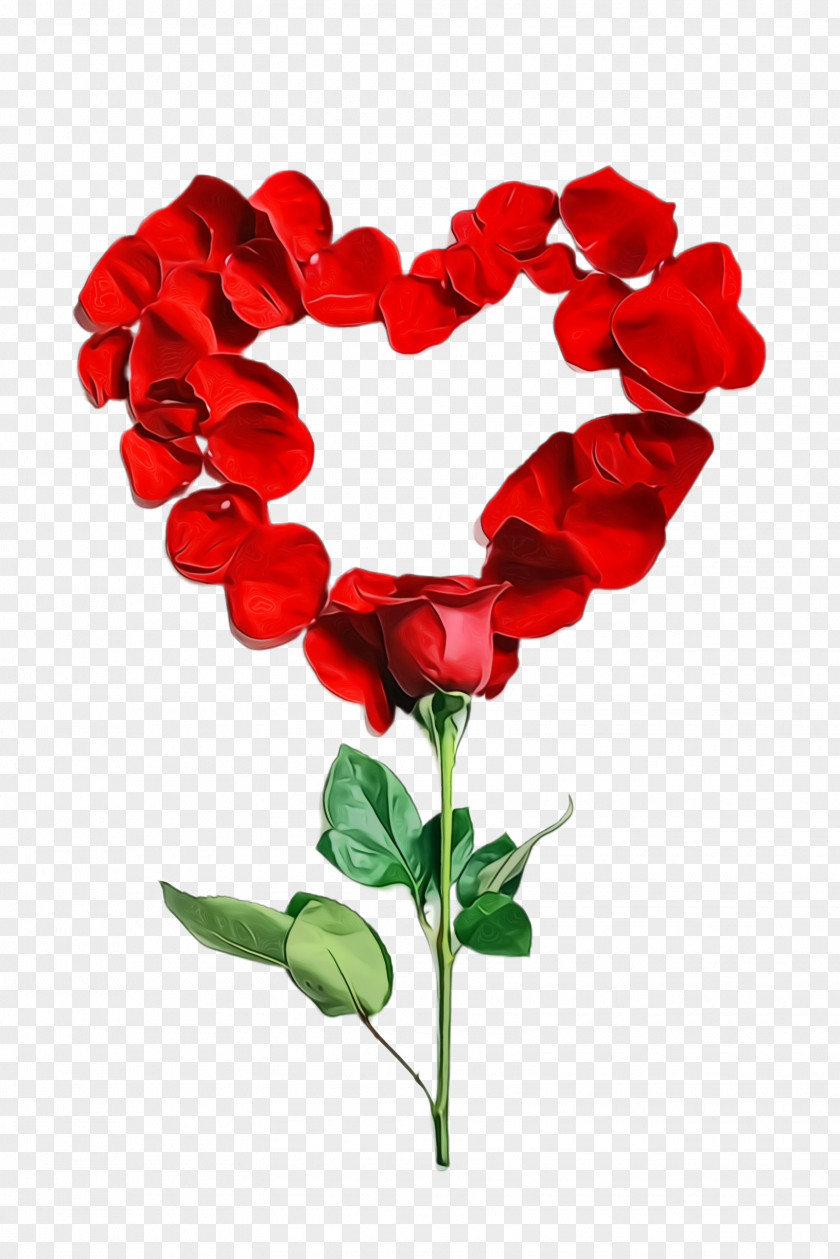 Flowering Plant Love Valentine's Day PNG