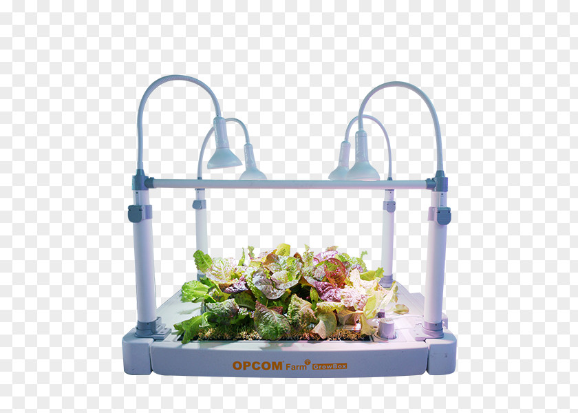 Hydroponic Grow Boxes For Vegetables Hydroponics Flowerpot Box Garden Amazon.com PNG