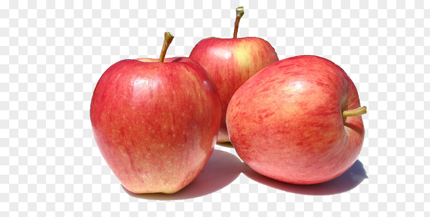 Apple Organic Food Gala Fuji Fruit PNG