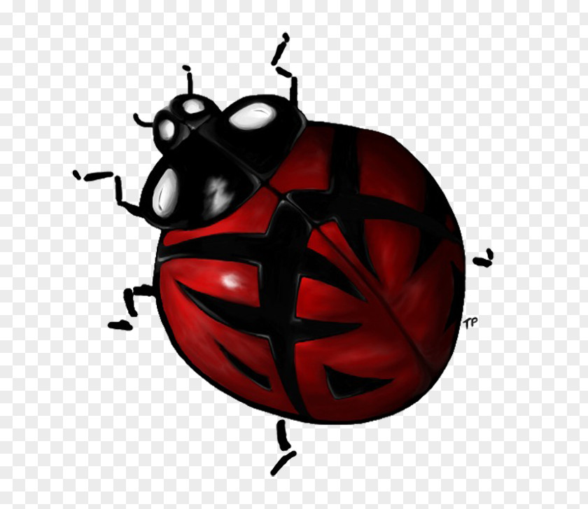 Beetle Insect Lady Bird Clip Art PNG