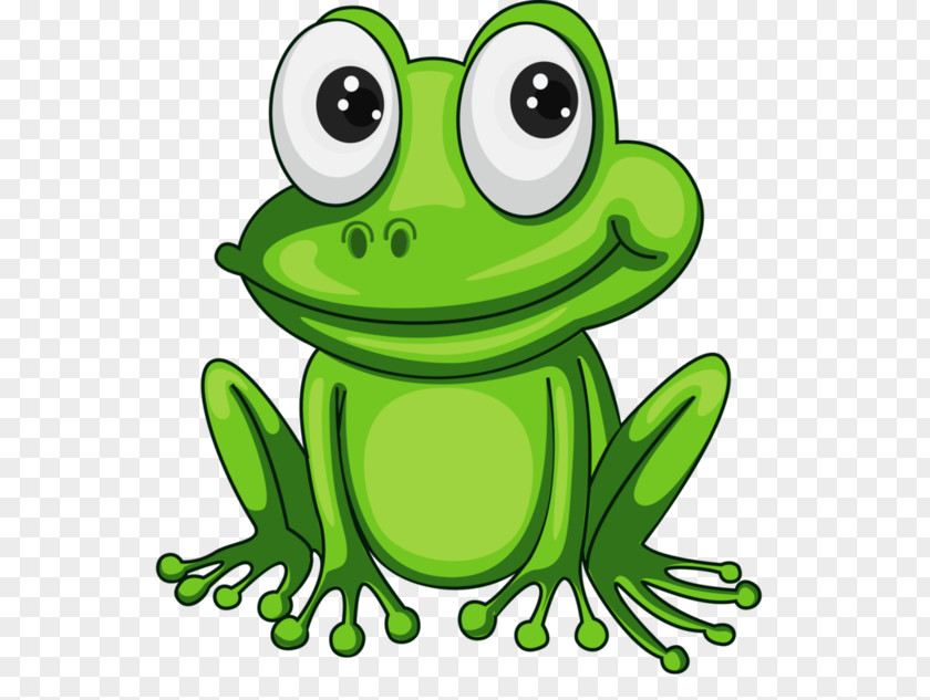 Cartoon Frog Bible Clip Art PNG