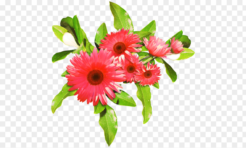 Daisy Family Flower Arranging Pink Cartoon PNG