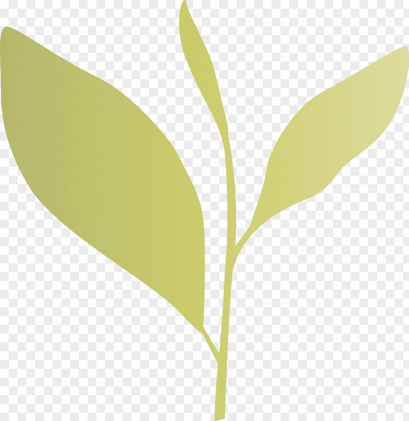 Leaf Plant Flower Tree Stem PNG
