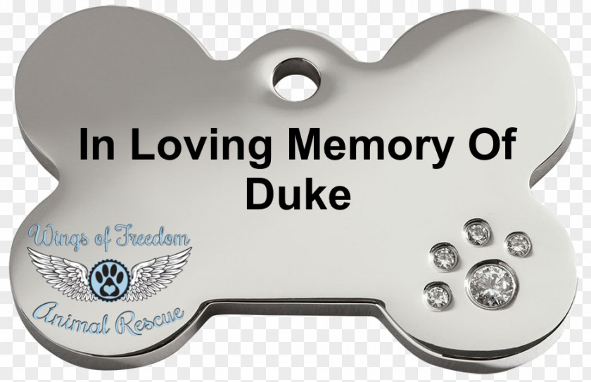 Dog Tag Dingo Cat Pet PNG