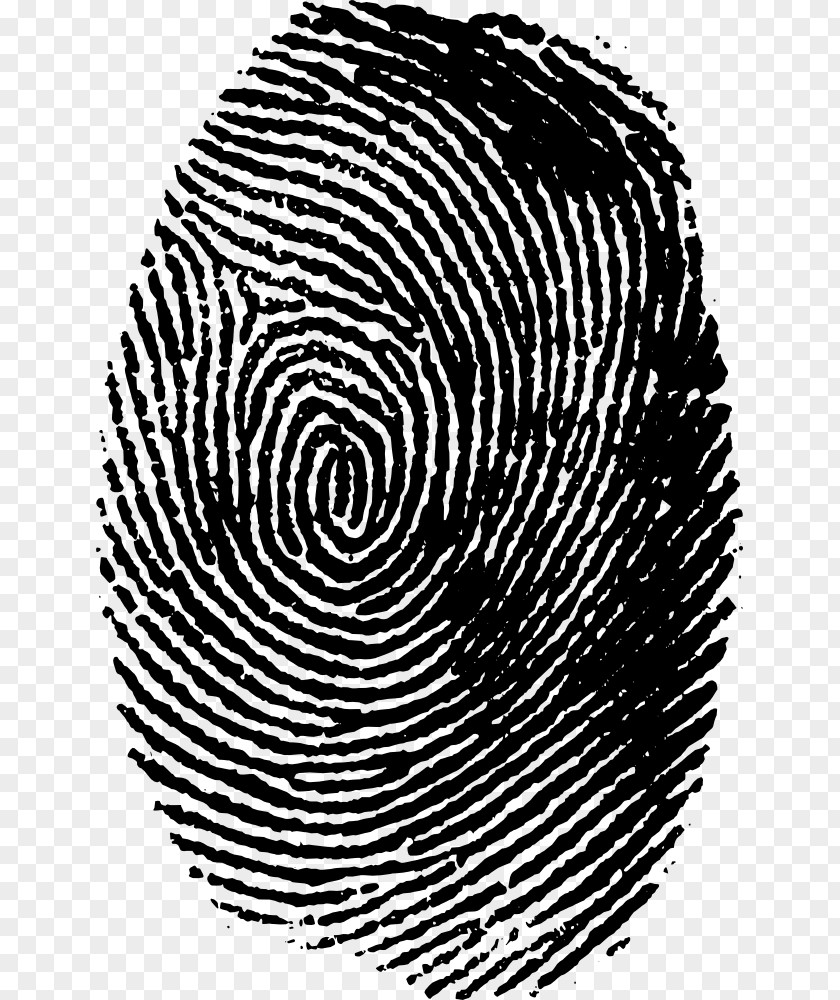 Finger Fingerprint Clip Art PNG