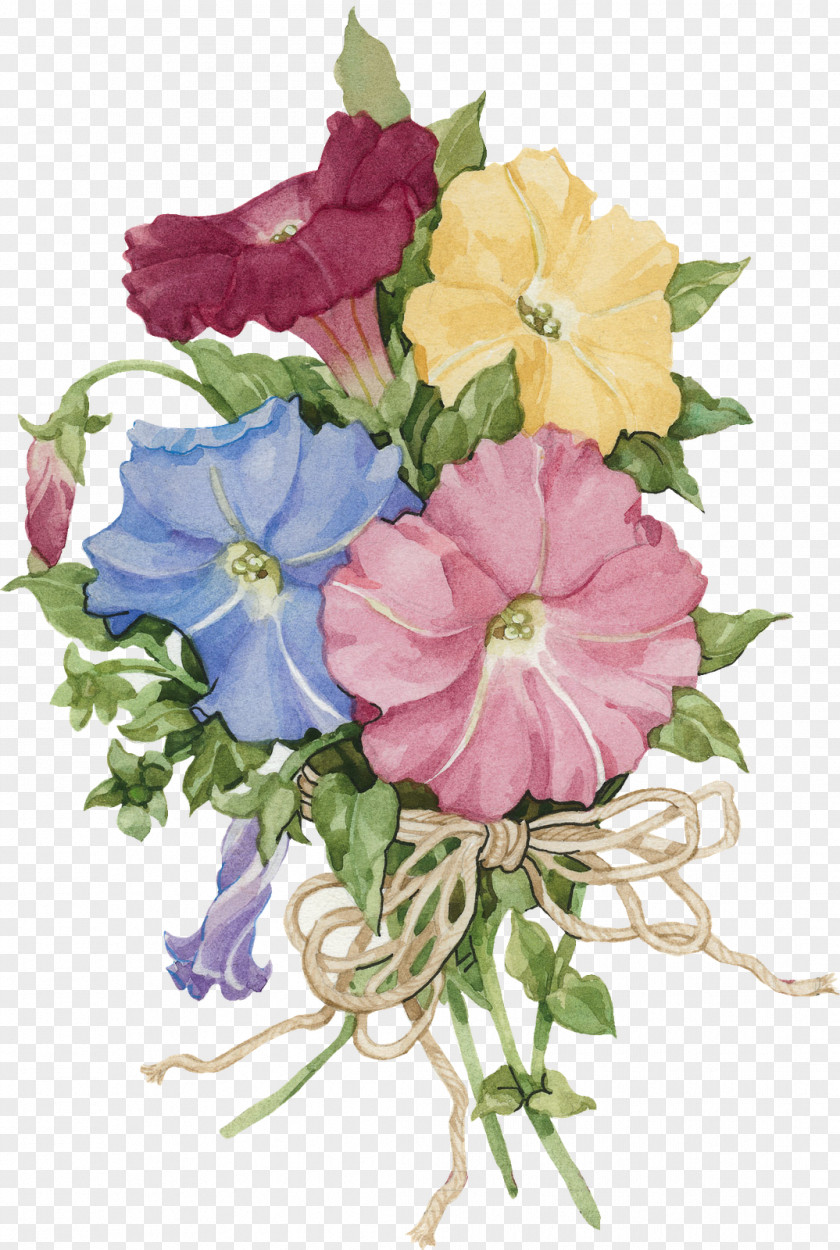 Flower Cabbage Rose Cut Flowers Japanese Morning Glory PNG
