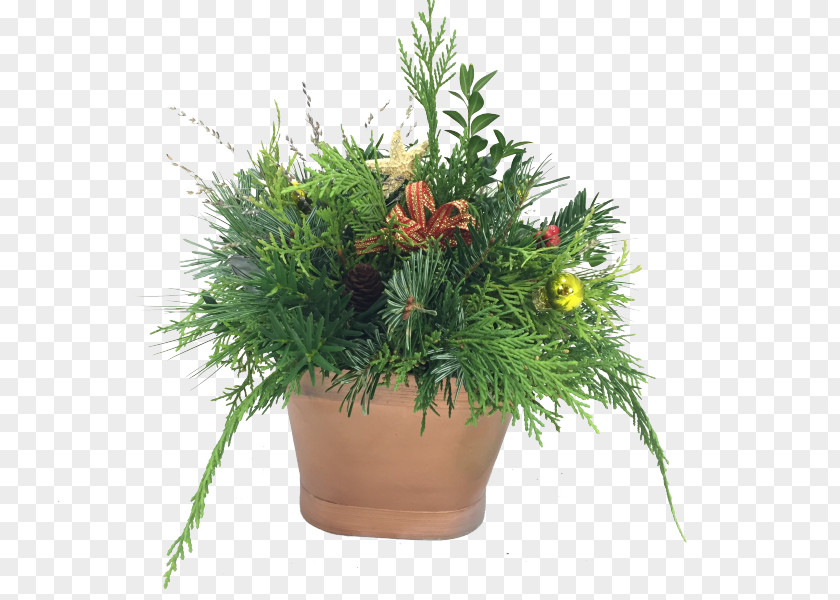 Greenery Houseplant Garden Flowerpot Centrepiece Lawn PNG