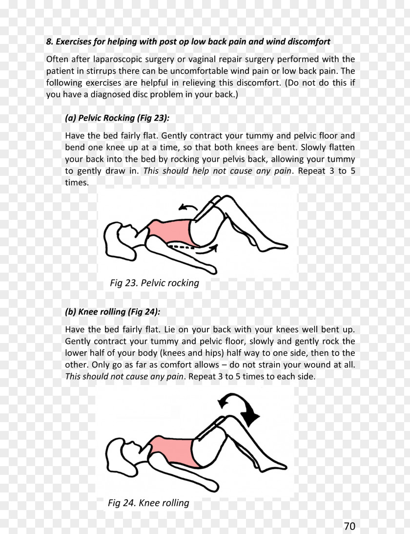 Pelvic Floor Pelvis Pain Physical Therapy PNG