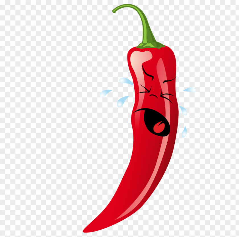 Pepper Chili Con Carne Mexican Cuisine Bell Drawing PNG