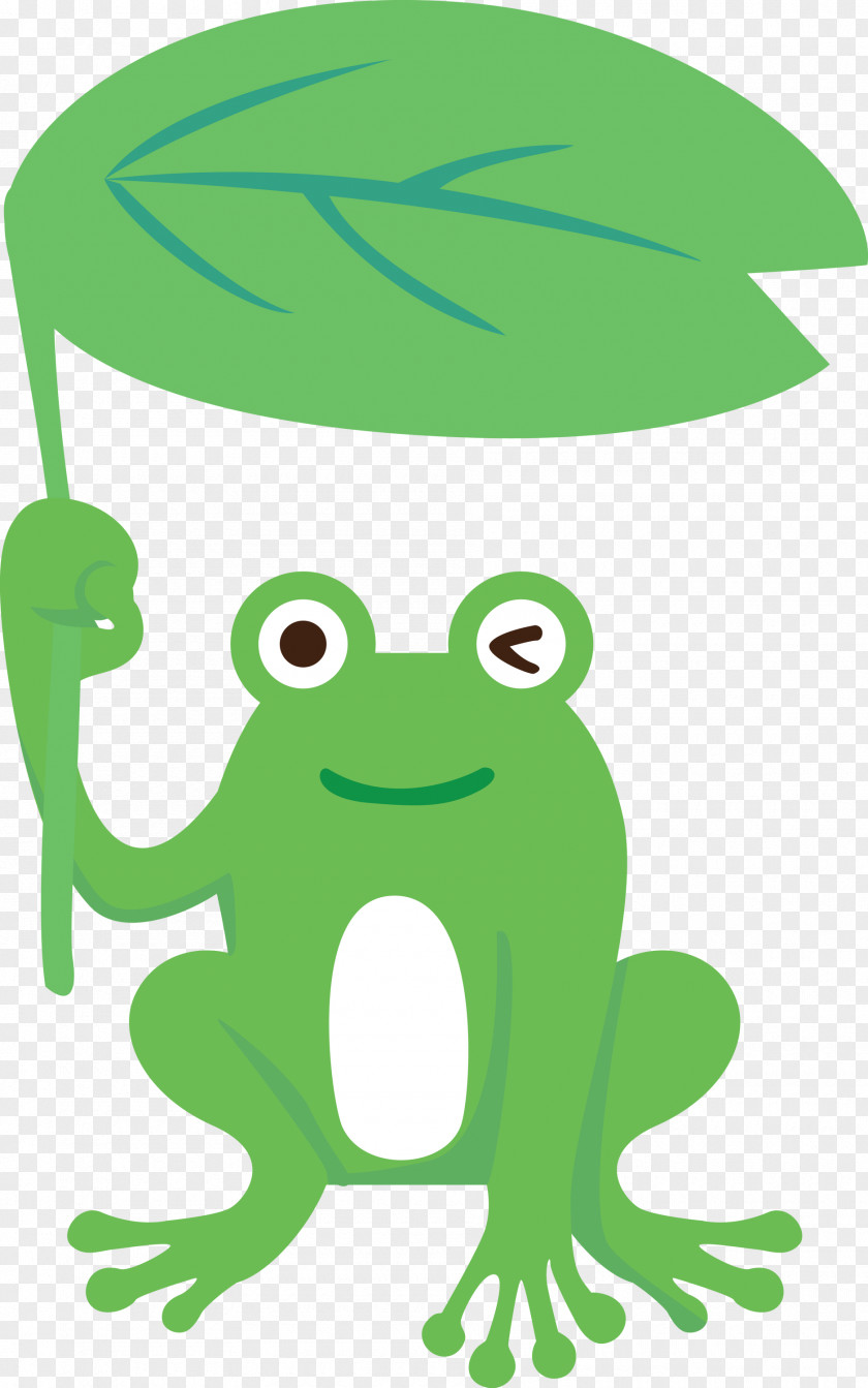 Toad Frogs Tree Frog Cartoon Leaf PNG