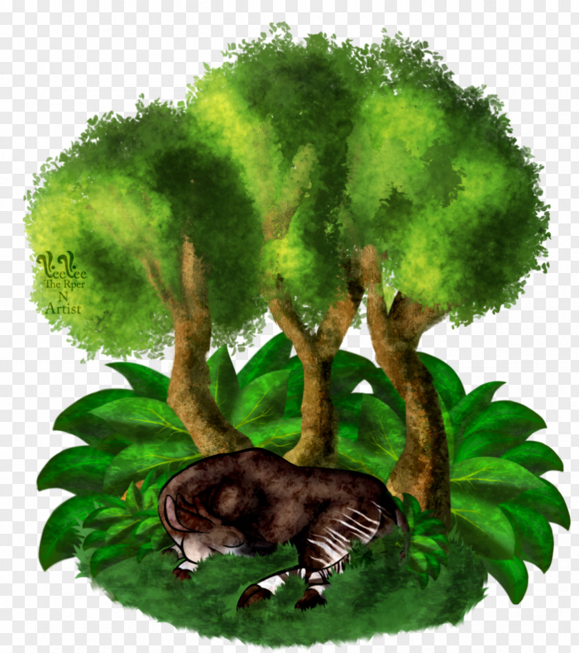 Tree Biome Fauna Illustration Shrub PNG