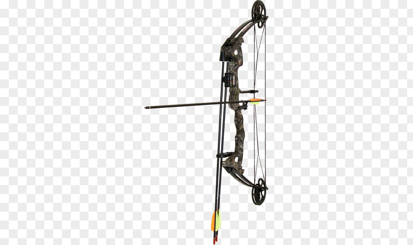 Arrow Bow And Compound Bows Archery Bowhunting PNG