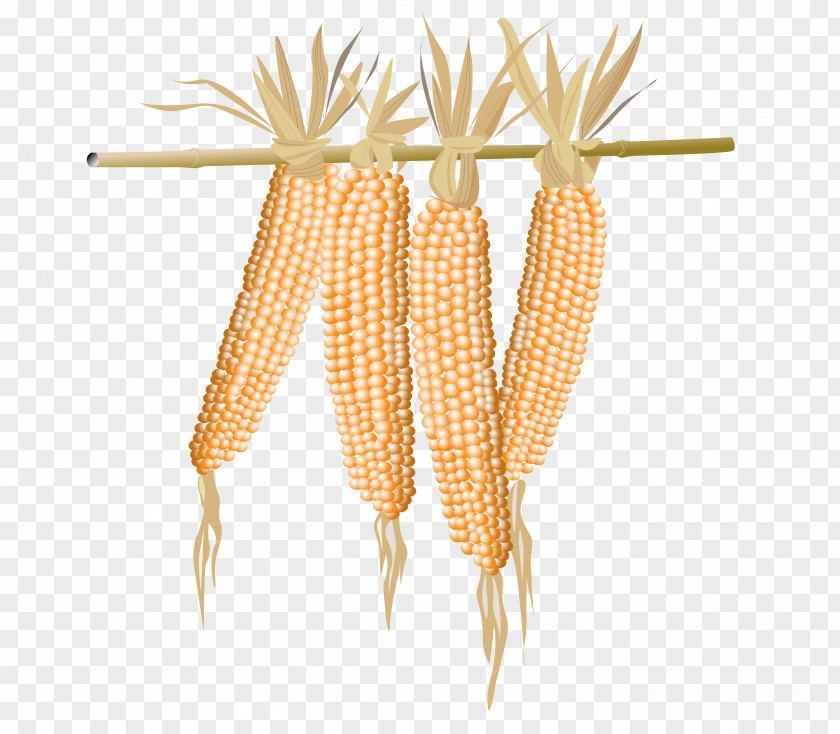 Cut Corn And Pole Popcorn Maize PNG