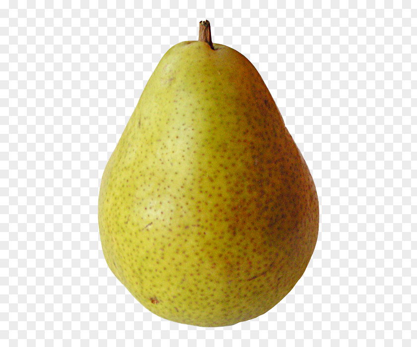 Pear Fruit Tree Plant PNG