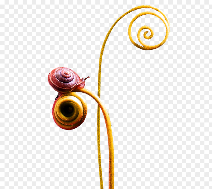 Snails Snail Euclidean Vector PNG
