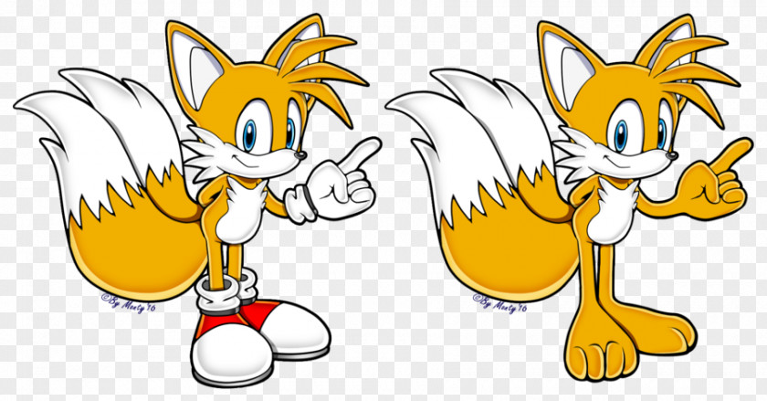 Sonic The Hedgehog Tails Sega Canidae Drawing PNG