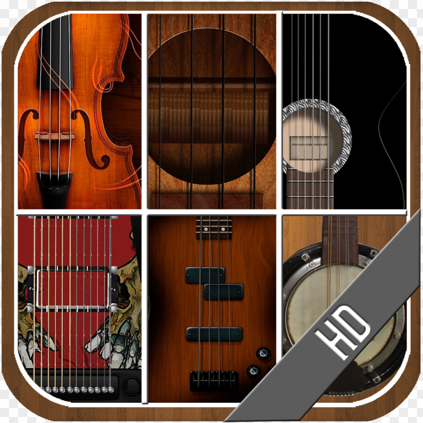Banjo Bass Guitar Acoustic Electric Tiple PNG