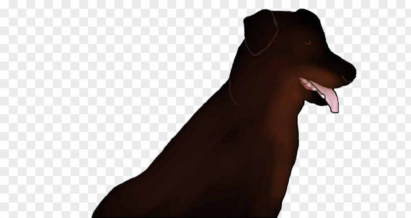 Labrador Dog Breed Puppy Snout Neck PNG