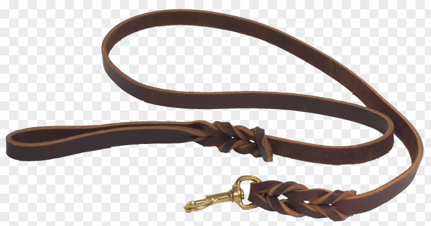 Police Dog Leash Dobermann Collar Working PNG