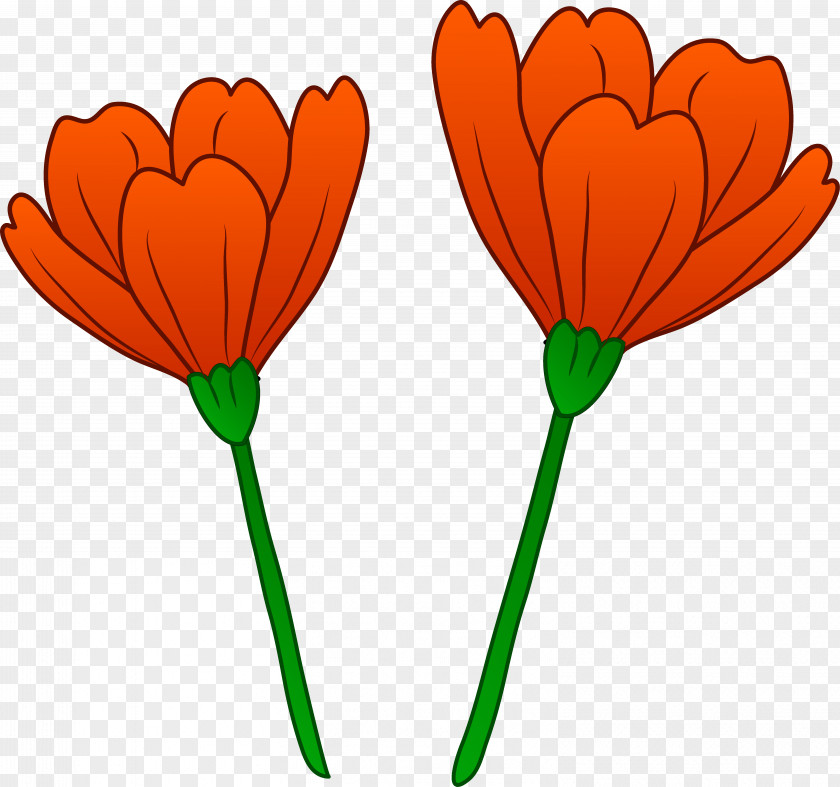 Poppy Flower Cliparts California Clip Art PNG