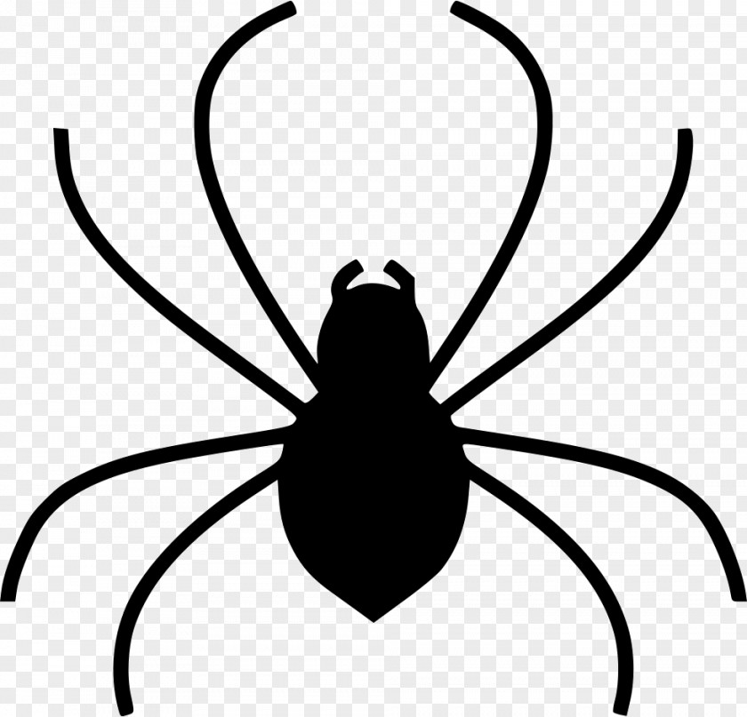 Spider Ico Clip Art PNG