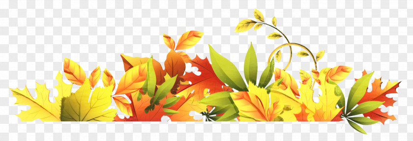 Tulip Floral Design Cut Flowers Desktop Wallpaper PNG