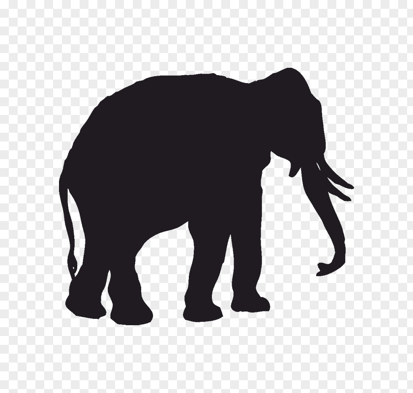 Elephant Wall Decal Sticker Polyvinyl Chloride PNG
