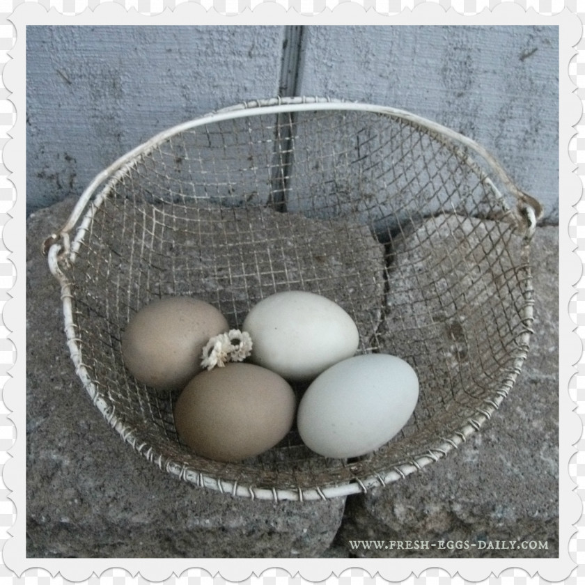 Fresh Eggs Egg PNG